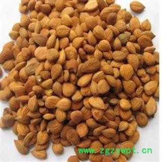 灵吉药业  苦杏仁 统货 优质  批发各种规格中药材 花茶 矿石 冷背野生中药材图4