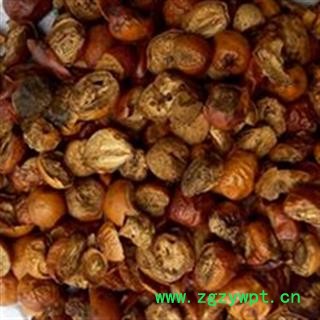 灵吉药业  川楝子  仁枣、苦楝子、川楝实 金铃子  优质 道地药材 货真价实图2