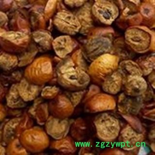 灵吉药业  川楝子  仁枣、苦楝子、川楝实 金铃子  优质 道地药材 货真价实图4