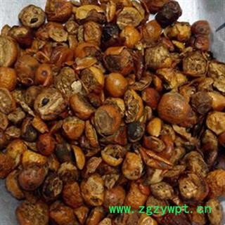 灵吉药业  川楝子  仁枣、苦楝子、川楝实 金铃子  优质 道地药材 货真价实图3