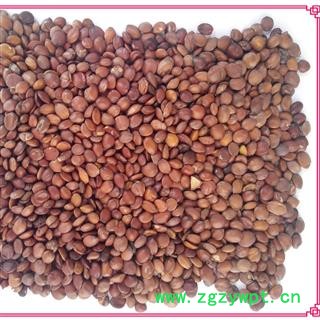 酸枣仁 酸枣仁98货 产地 山东省 批发中药材图4