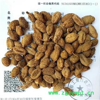 进口砂仁 进口壳砂仁优质选货 产地 海外阳春砂图2