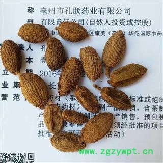 进口砂仁 进口壳砂仁优质选货 产地 海外阳春砂