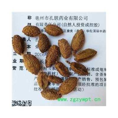 进口砂仁 进口壳砂仁优质选货 产地 海外阳春砂