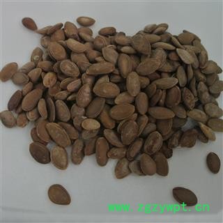 双边瓜蒌子 瓜米 统货 产地四川省图4