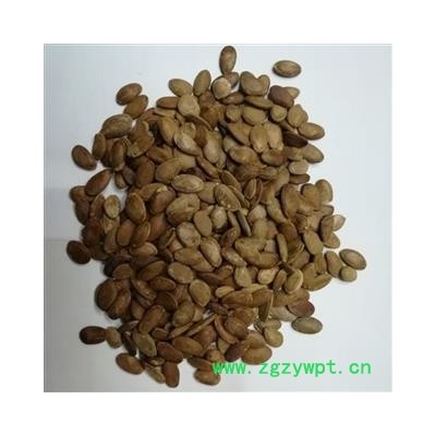 双边瓜蒌子 瓜米 统货 产地四川省