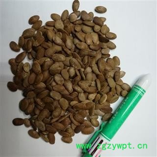 双边瓜蒌子 瓜米 统货 产地四川省图2