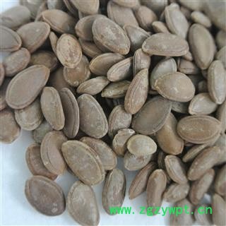 双边瓜蒌子 瓜米 统货 产地四川省图3