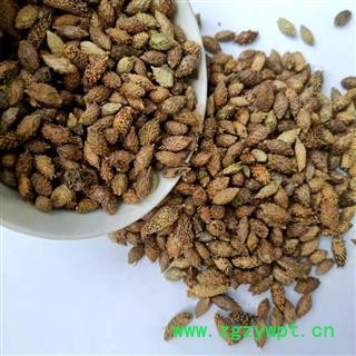 产地直销 苍耳子【广生堂中药材】批发零售中药材苍耳子500g大货批发图2