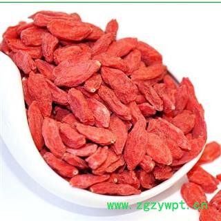 枸杞 宁夏枸杞图3