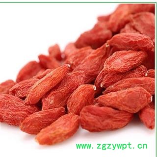 枸杞 宁夏枸杞图2