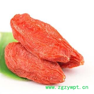 枸杞 宁夏枸杞图4