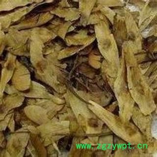 凤眼草，别名椿荚、樗荚、凤眼子、樗树凸凸、樗树子、臭椿子、春铃子图2