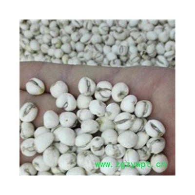 平贝母 精选平贝母小豆贝 磨砂磨皮 真空包装  产地 吉林省