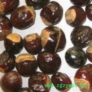 龙眼核 桂圆核 龙眼子 正品 优质 促销图2