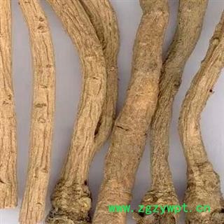 板蓝根 个子 原条 大货批发  自产自销 产地 山东省图3