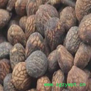 京辉药业 蕤仁 美人子 蕤核 山桃 蕤李子 蕤核仁 正品 促销图3