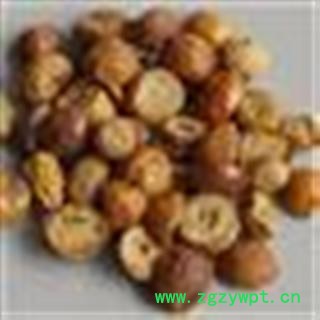 川楝子 统 产地 云南省图2