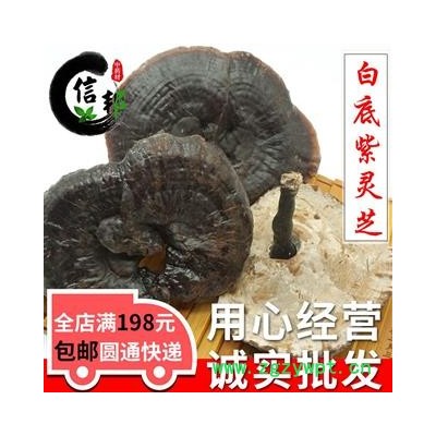 白底紫灵芝灵芝紫灵芝叶片直径10cm左右产地货源滋补品专注品质，诚信信邦！