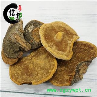 桑黄马蹄桑黄野生灵芝菌类无硫专注品质，诚信信邦！图3