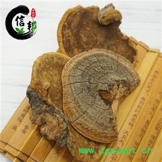 桑黄马蹄桑黄野生灵芝菌类无硫专注品质，诚信信邦！图2