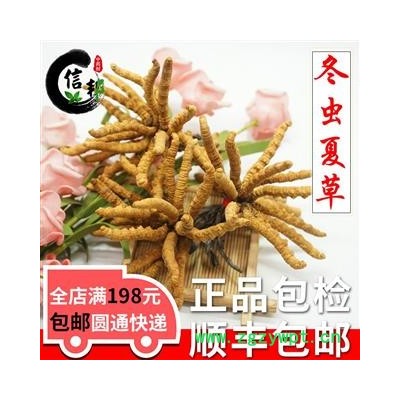 冬虫夏草2条一克虫草那曲2000条冬虫夏草如假包换假一罚万专注品质，诚信信邦！