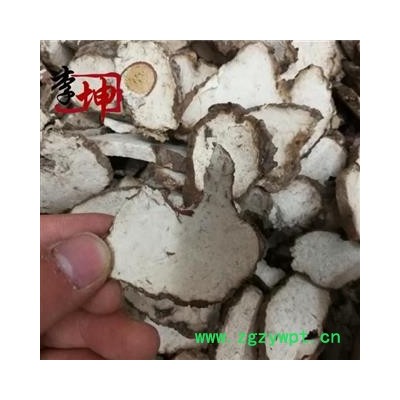 【99包邮】茯神 统块 安徽产 茯神木【良心经营 品种齐全】