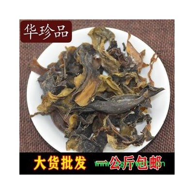 昆布 01 昆布 统 产地 广西壮族自治区桂林市市辖区