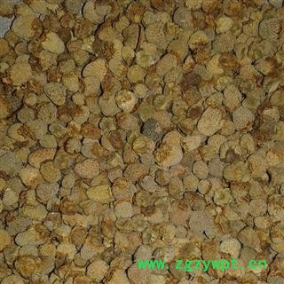 覆盆子 统 产地 浙江省温州市瑞安市图2