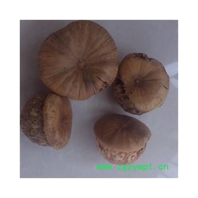 灵吉药业 风流果 壮阳果,补肾果，益肾子,马牯 正品 批发各种规格中药材   矿石  花茶  野生冷背中药材