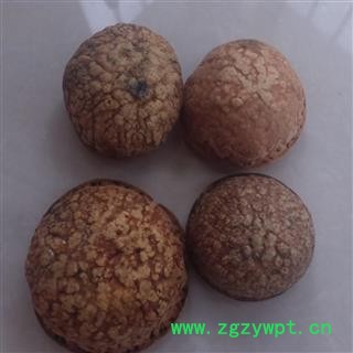 灵吉药业 风流果 壮阳果,补肾果，益肾子,马牯 正品 批发各种规格中药材   矿石  花茶  野生冷背中药材图3