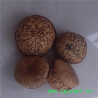 灵吉药业 风流果 壮阳果,补肾果，益肾子,马牯 正品 批发各种规格中药材   矿石  花茶  野生冷背中药材图2