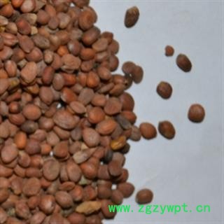 灵吉药业  莱菔子 水洗货，大粒  优质 正品图3