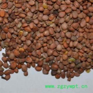 灵吉药业  莱菔子 水洗货，大粒  优质 正品图2