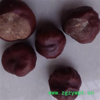 灵吉药业 娑罗子 别名苏罗子、棱罗子、开心果 批发各类中药材花茶图3