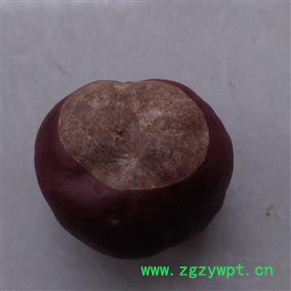 灵吉药业 娑罗子 别名苏罗子、棱罗子、开心果 批发各类中药材花茶图4