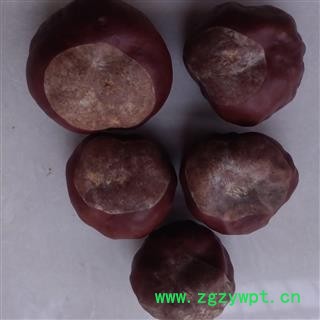 灵吉药业 娑罗子 别名苏罗子、棱罗子、开心果 批发各类中药材花茶图2