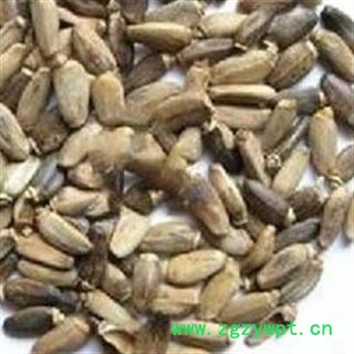 灵吉药业 水飞蓟,别名:奶蓟,老鼠筋,水飞雉图2