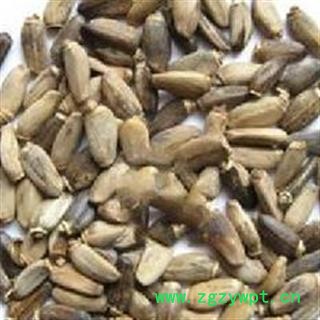 灵吉药业 水飞蓟,别名:奶蓟,老鼠筋,水飞雉图3