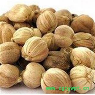 灵吉药业 白豆蔻 豆蔻 优质统货 批发各类规格中药材 花茶 矿石 野生冷背中药材图4