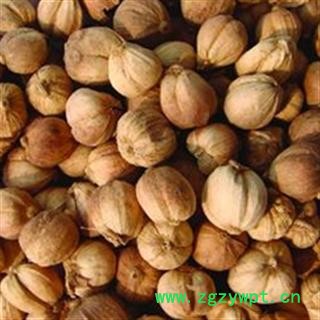 灵吉药业 白豆蔻 豆蔻 优质统货 批发各类规格中药材 花茶 矿石 野生冷背中药材图3