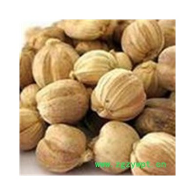 灵吉药业 白豆蔻   豆蔻   优质统货 批发各类规格中药材 花茶 矿石 野生冷背中药材