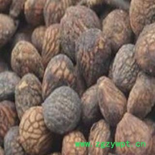 灵吉药业  蕤仁  别名：蕤核、蕤子、白桵仁图3