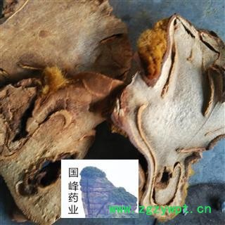 狗脊 好统货 野生 颜色好 无硫磺 国峰药业 重在品质 产地 广西壮族自治区图2