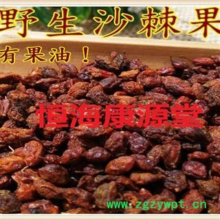 恒海康源堂内蒙沙棘  新疆沙棘产地直销图2