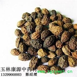 产地直销   鸦胆子图2