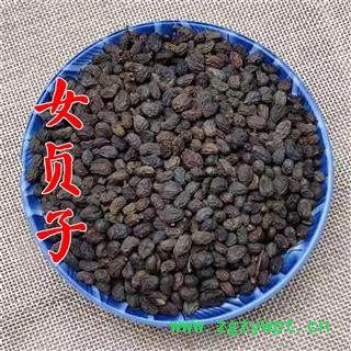 女贞子 净货 产地 河南省 5斤运费6元