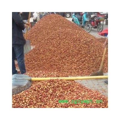 山楂片 二级  手工，机器片混合，主用于药厂 兽  药  大货优惠  产地 山东省临沂市平邑县