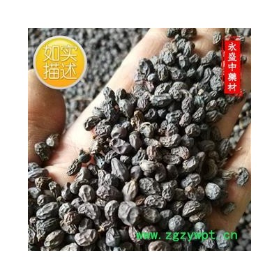 女贞子 女贞子圆果净货 产地 河南省南阳市