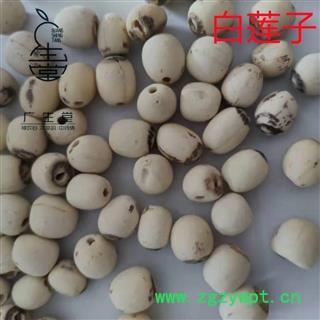 产地直销白莲子 湖南湖北空心磨皮白莲子 产地 湖南省图3